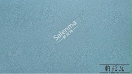 萨拉玛艺术涂料：效果图赏析